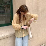 Blusa de chifón de manga larga con cuello redondo. Camisa holgada de mujer